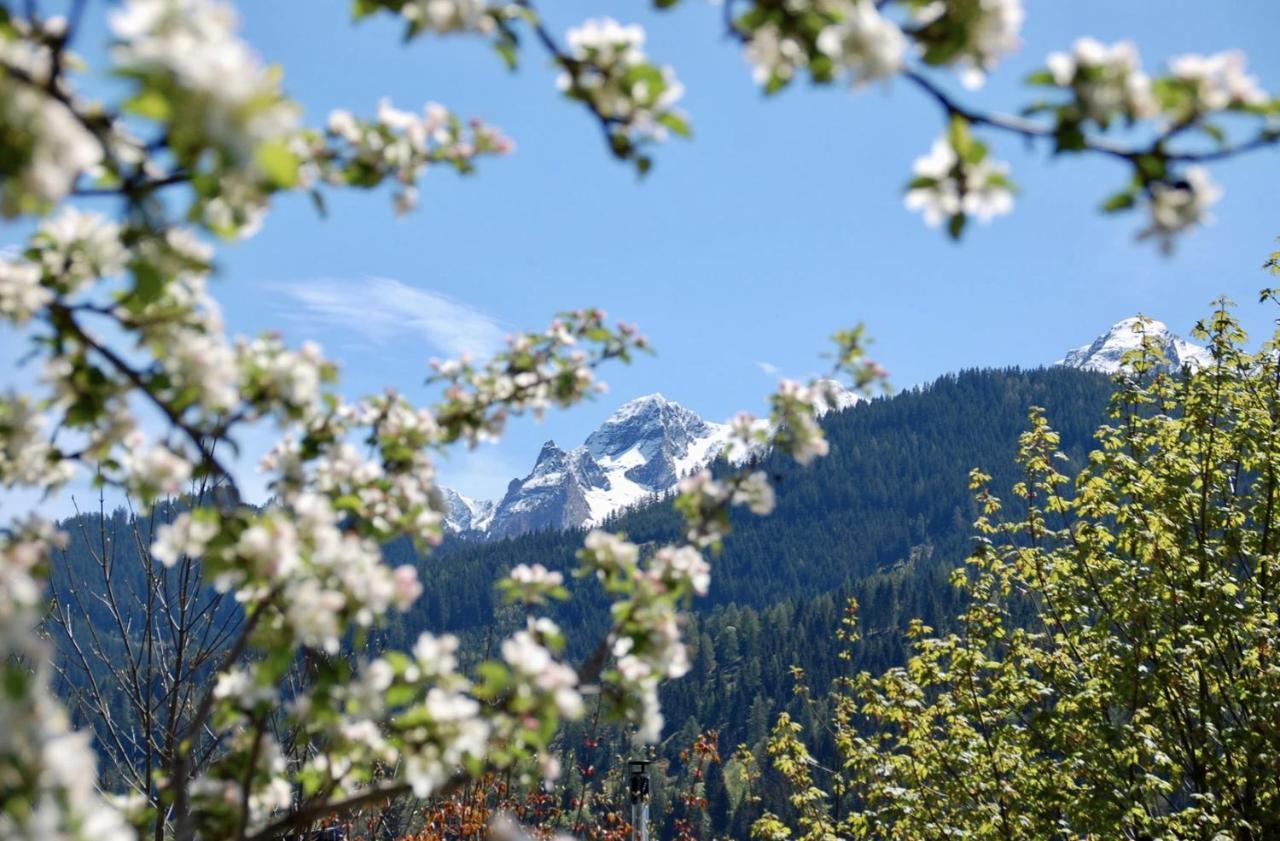 Landhaus Bergner Alm Fusch an der Glocknerstraße Zewnętrze zdjęcie