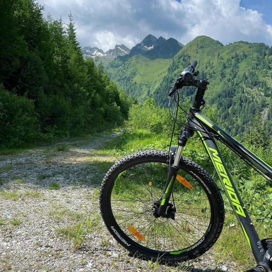 Landhaus Bergner Alm Fusch an der Glocknerstraße Zewnętrze zdjęcie